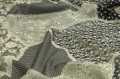 Żorżetta 10168 - 61413a.JPG