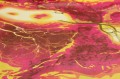 Żorżetta 10101 - nr1.JPG